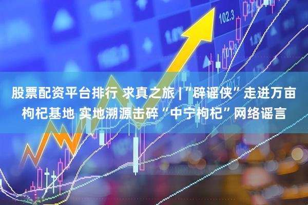 股票配资平台排行 求真之旅 |“辟谣侠”走进万亩枸杞基地 实地溯源击碎“中宁枸杞”网络谣言