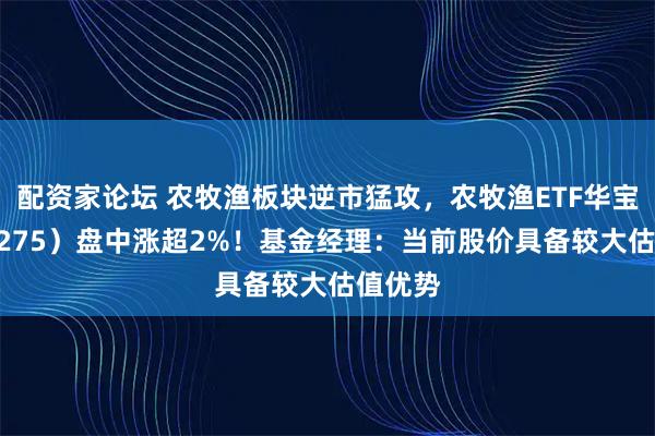 配资家论坛 农牧渔板块逆市猛攻，农牧渔ETF华宝（159275）盘中涨超2%！基金经理：当前股价具备较大估值优势